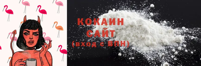 где купить наркотик  Бикин  COCAIN FishScale 